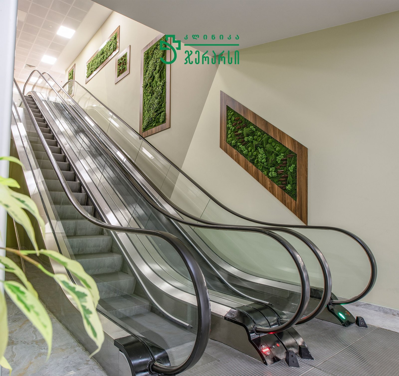 480243372_1096044742561868_2430818172074926741_n